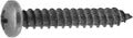 Phillips Pan Head Type AB Tapping Screw #10 x 1